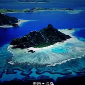 拯救枯树